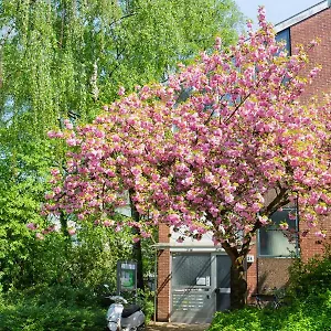 aa-apartment-am-langen-weiher.dusseldorf-hotel.net/